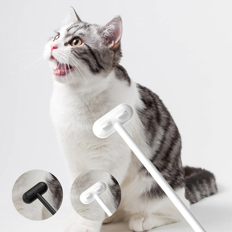 Long-handled massage brush for cats – For a luxurious feline experience