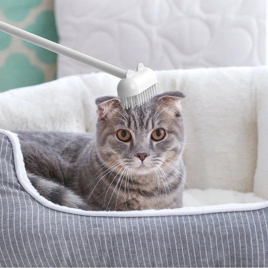 Long-handled massage brush for cats – For a luxurious feline experience