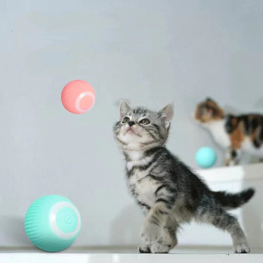 PlayPaws | Endless Fun - Engage Your Cat