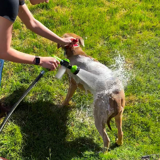 HydroPet™ | Douche: High Pressure, Adjustable and Foaming for an Easy Dog Bath