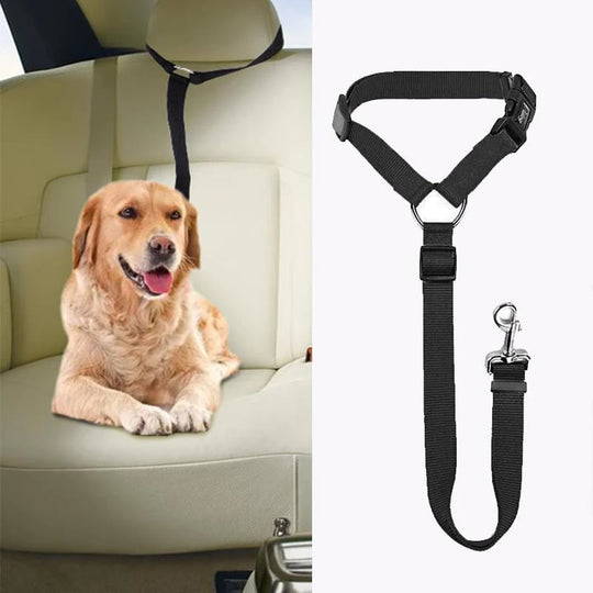 Buy 1 Get 1 Free! FlexStrap™ – Adjustable Dog Collar for Secure Car Travel