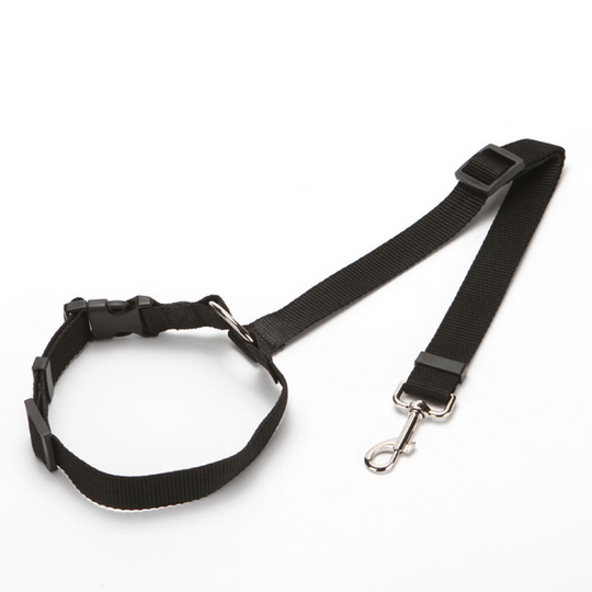 Fionalove - Dog Safety Leash | Dog Leash - Reliable and Secure