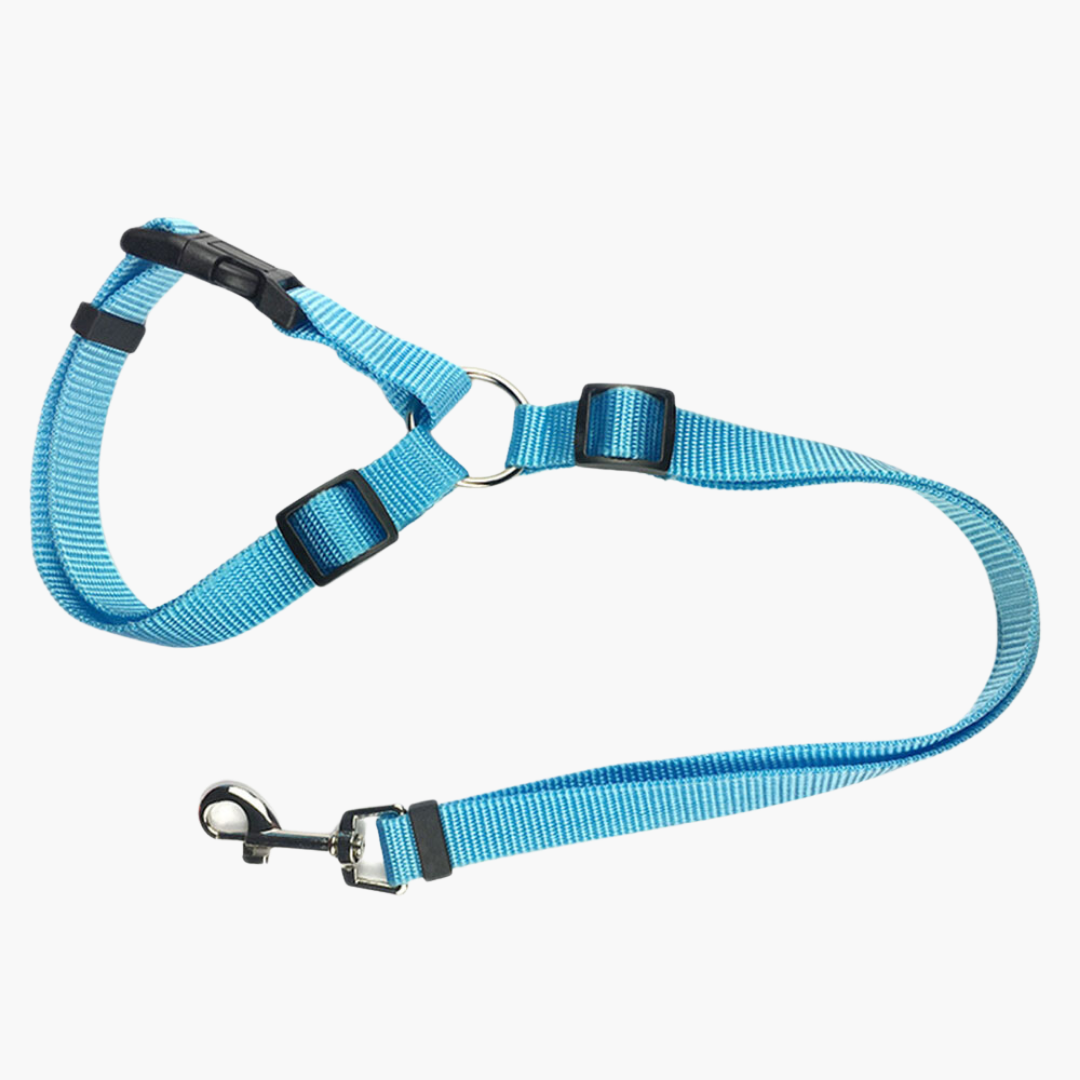 Fionalove - Dog Safety Leash | Dog Leash - Reliable and Secure