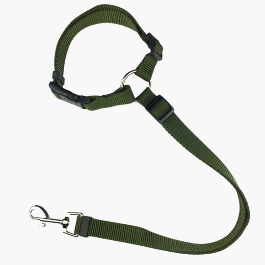 Fionalove - Dog Safety Leash | Dog Leash - Reliable and Secure