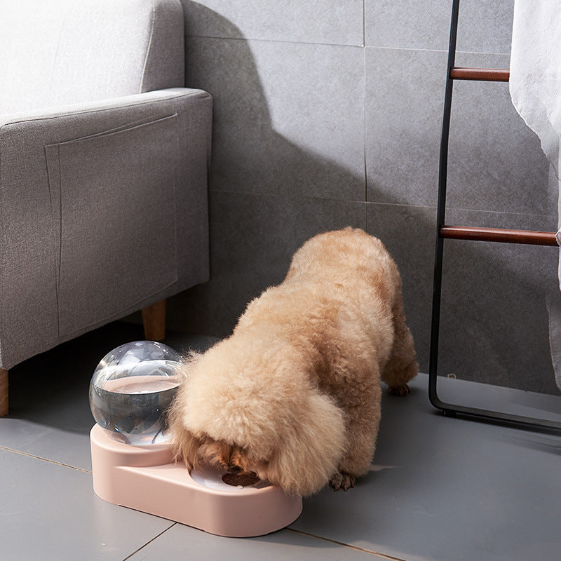 Water & Food Station | Pet Station - Convenient for Meals