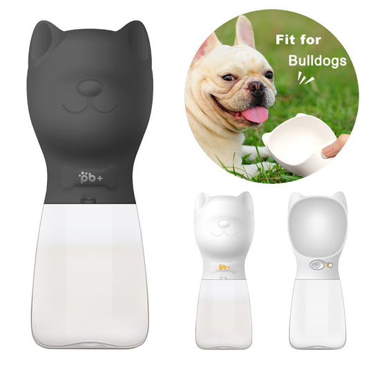 Chic Water Bottle for French Bulldog