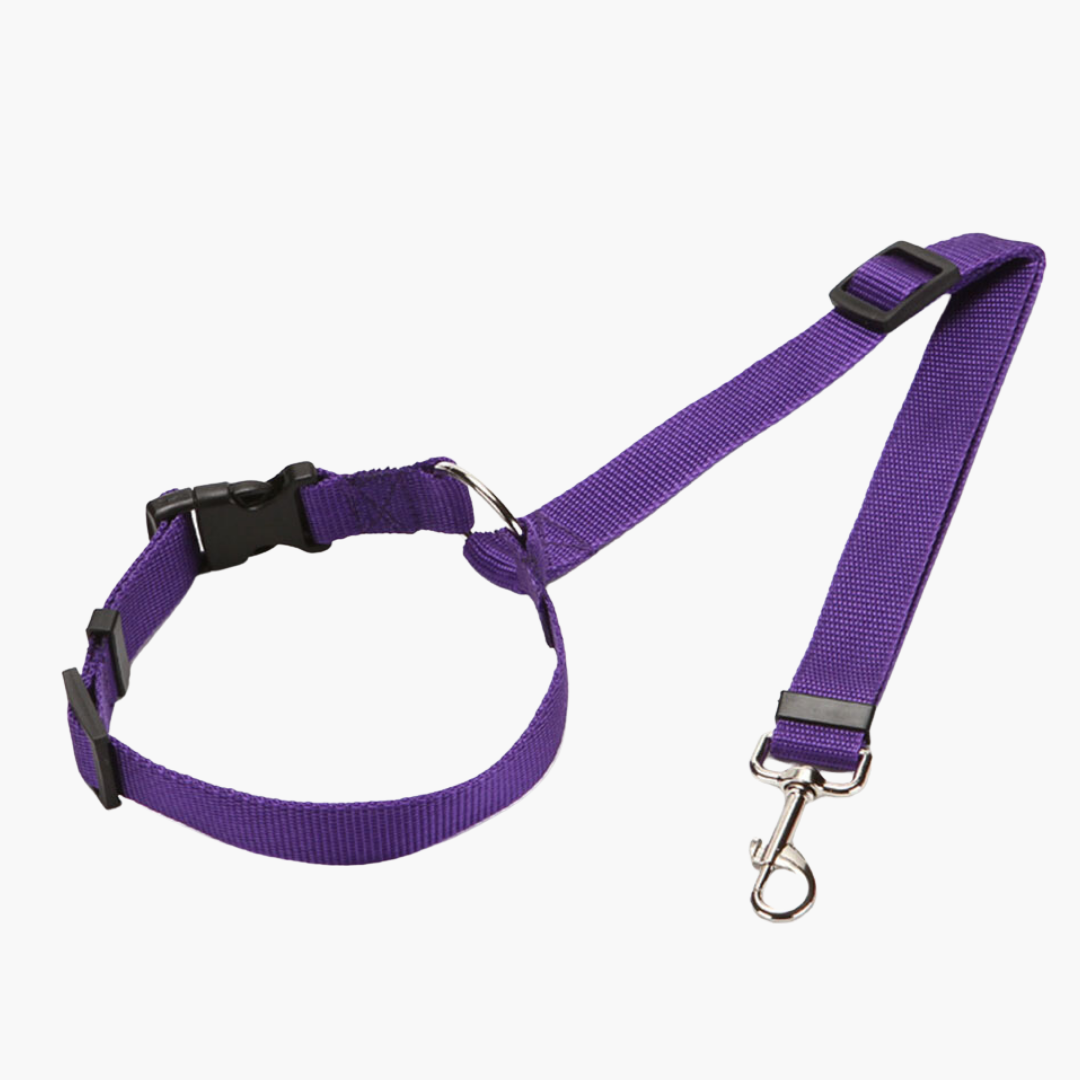 Fionalove - Dog Safety Leash | Dog Leash - Reliable and Secure