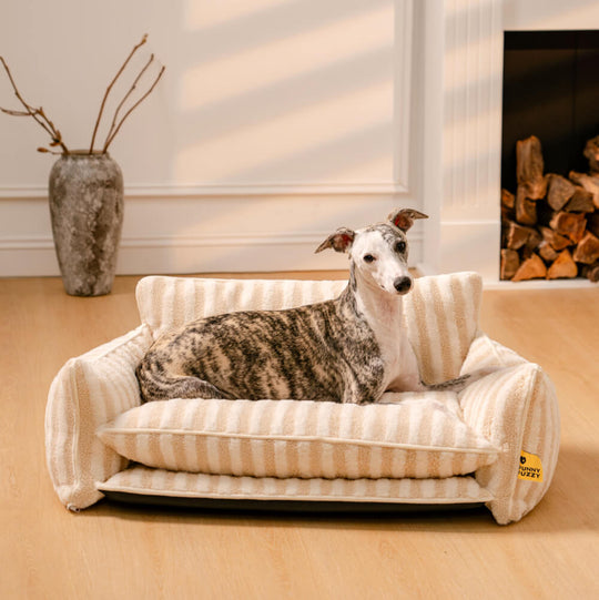 ComfyCouch | Double Layer Dog Sofa - Ultimate Comfort for Pets