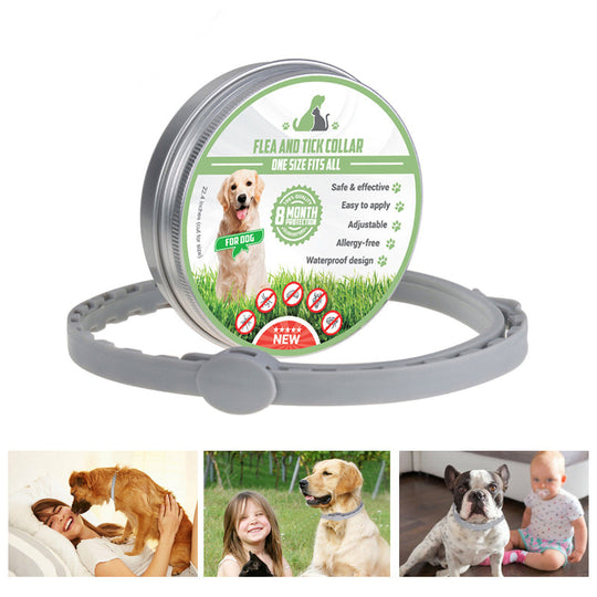 Pro Guard Adjustable Collar for Your Four-Legged Animal