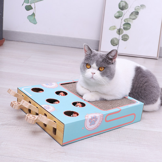 ClawCraze™ | Interactive Toy for Kittens - Stimulates Play