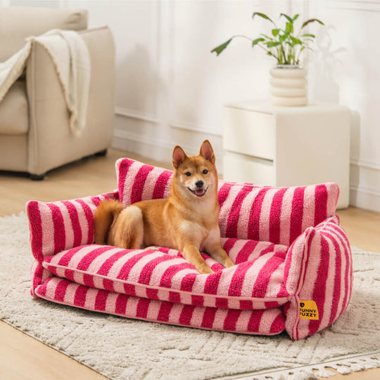 ComfyCouch | Double Layer Dog Sofa - Ultimate Comfort for Pets