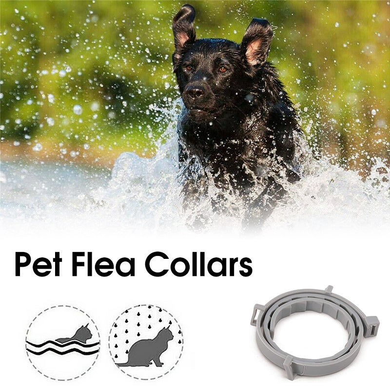 Adjustment for a perfect fit - Anti-insect collar for your pets