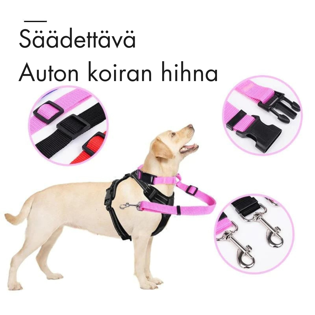 Buy 1 Get 1 Free! FlexStrap™ – Adjustable Dog Collar for Secure Car Travel