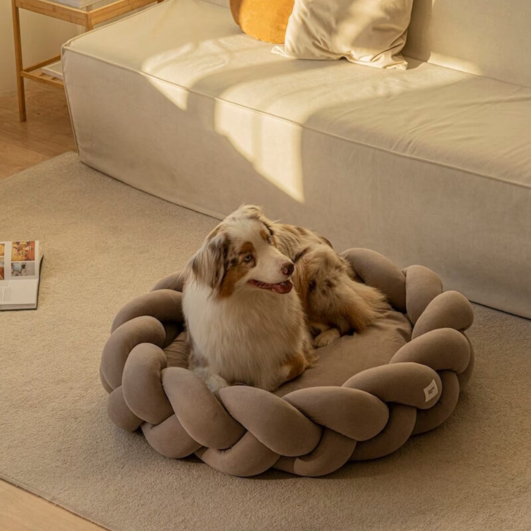 Luxury Dog Bed | Cozy and Comfortable