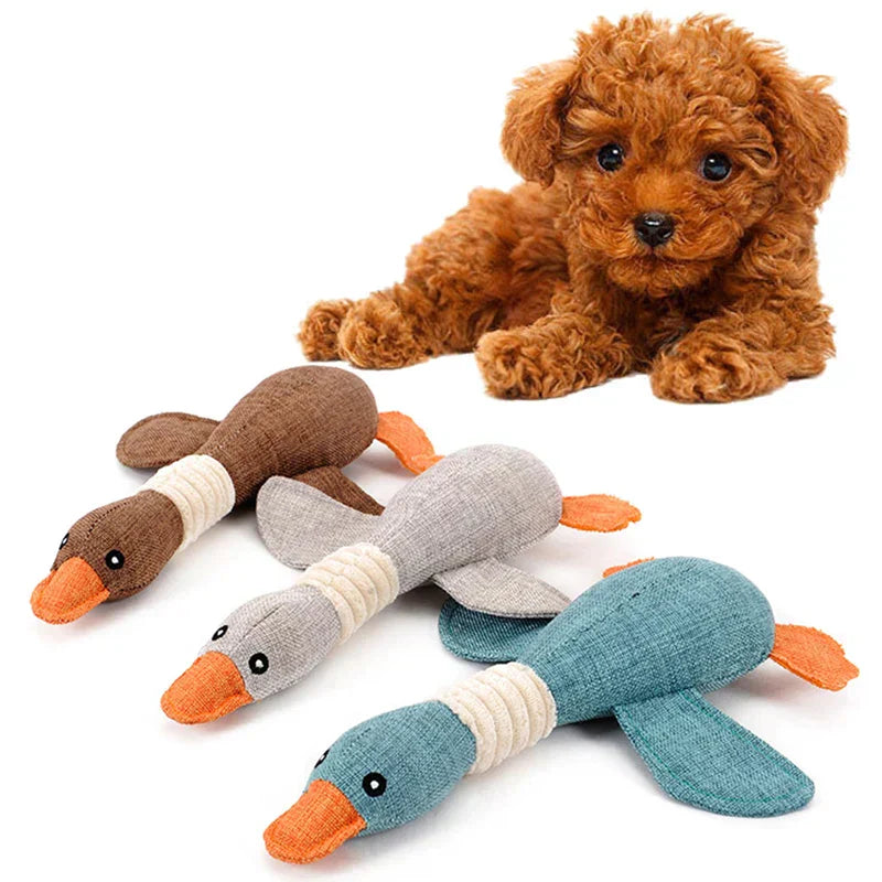 Quacky™ | Noisy Toy for Dogs - Entertains Your Dog