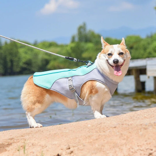 Dog Harness | Dog Accessory - Safe and Comfortable