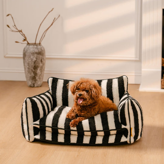 ComfyCouch | Double Layer Dog Sofa - Ultimate Comfort for Pets