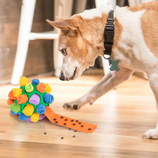 Snuffle Ball - Treat Toy | Interactive and Rewarding Pet Toy