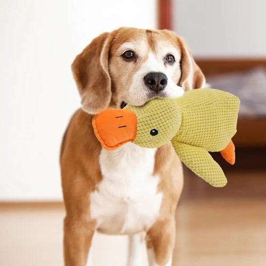 DuckBuddy - Plush Toy for Dogs | Dog Toy - Soft and Fun