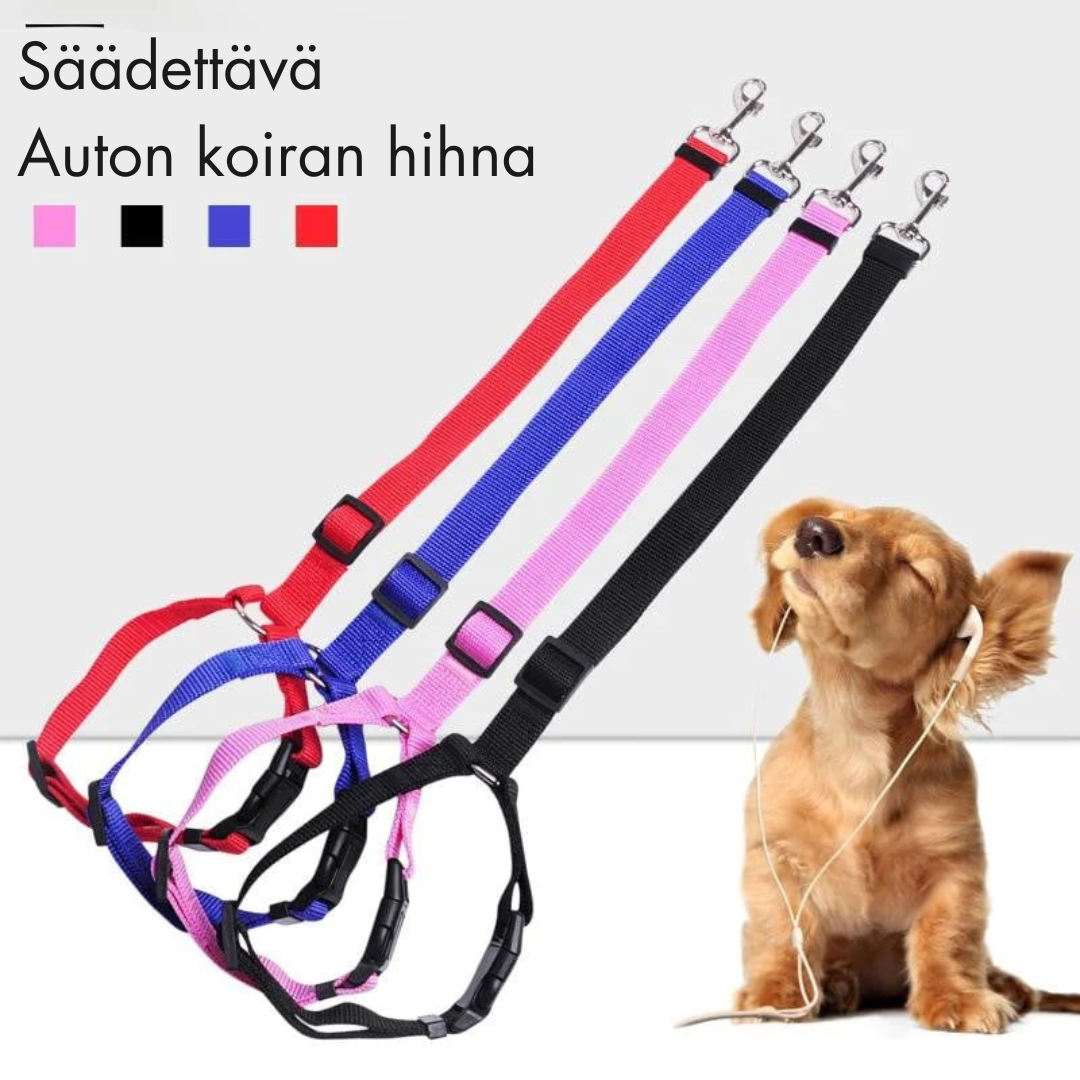 Buy 1 Get 1 Free! FlexStrap™ – Adjustable Dog Collar for Secure Car Travel