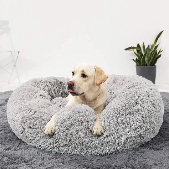 Premium Dog Bed | Dog Bed - Luxurious Comfort