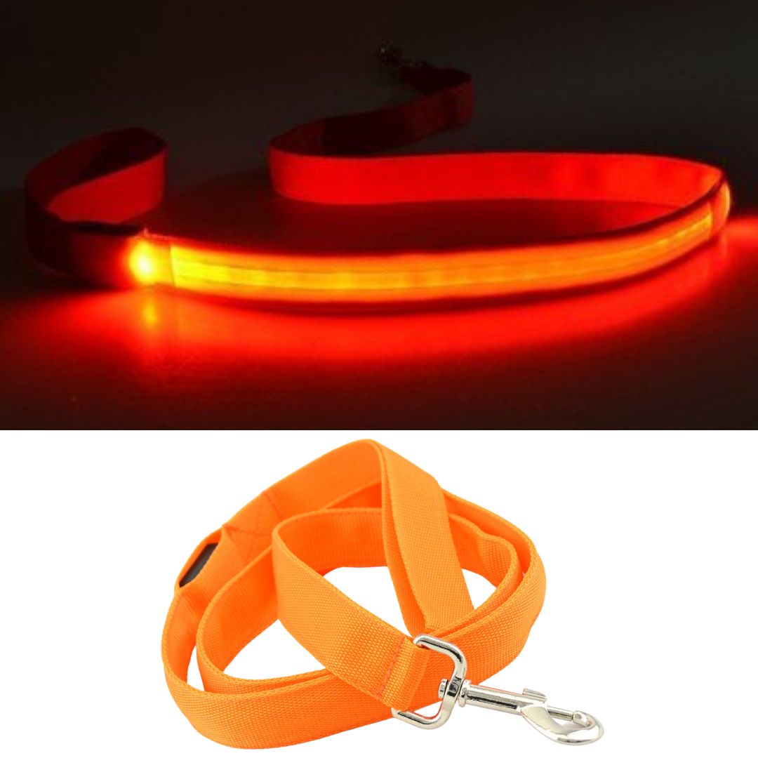 Sizzylove - Illuminated Dog Leash | Dog Leash - Visible and Secure