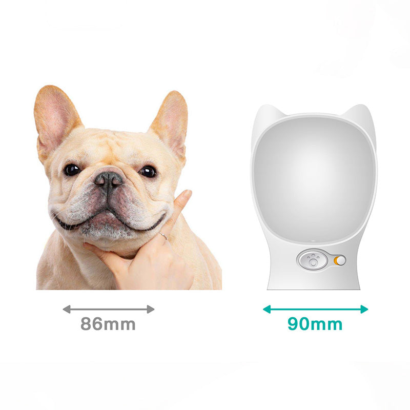 Chic Water Bottle for French Bulldog