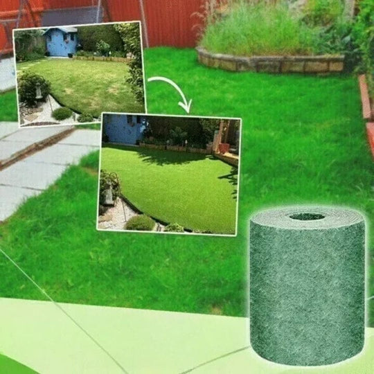 Biodegradable grass seed roll