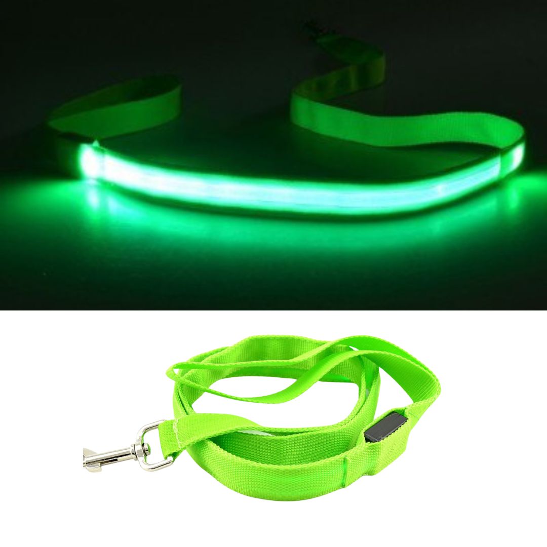 Sizzylove - Illuminated Dog Leash | Dog Leash - Visible and Secure