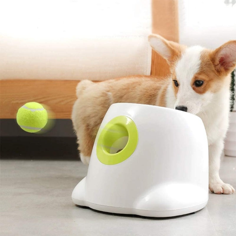 Furrlay™ | Automatic Tennis Ball Launcher - Endless Fun for Your Dog