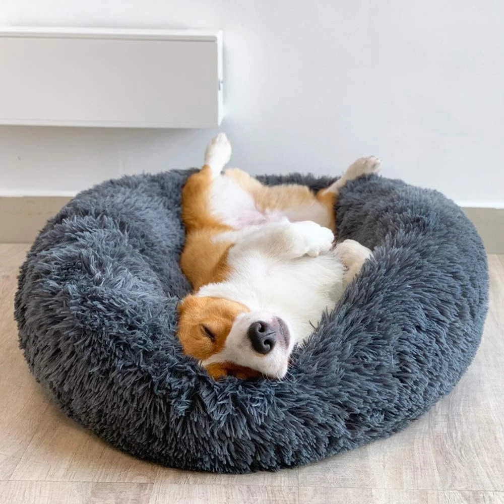 Premium Dog Bed | Dog Bed - Luxurious Comfort