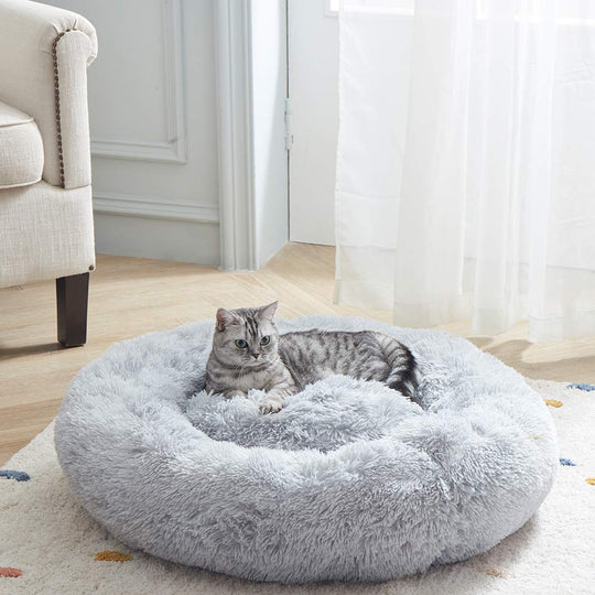 Luxury Bed for Cats - Original Design for Your Cat