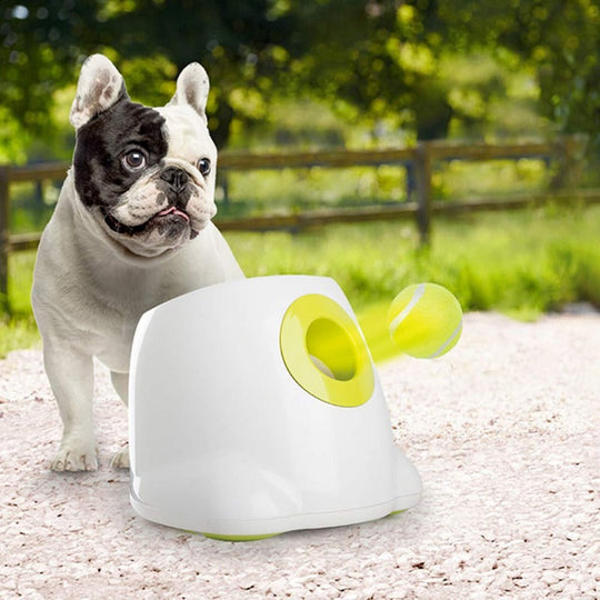 Furrlay™ | Automatic Tennis Ball Launcher - Endless Fun for Your Dog