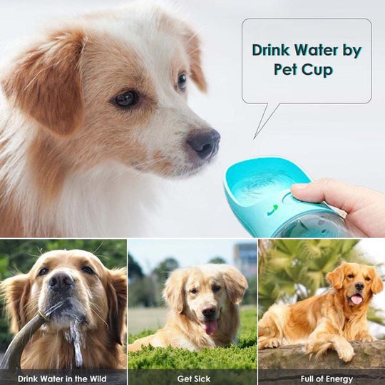 PawFeeder™ | Water Bottle for Dogs - Hydration on the Go