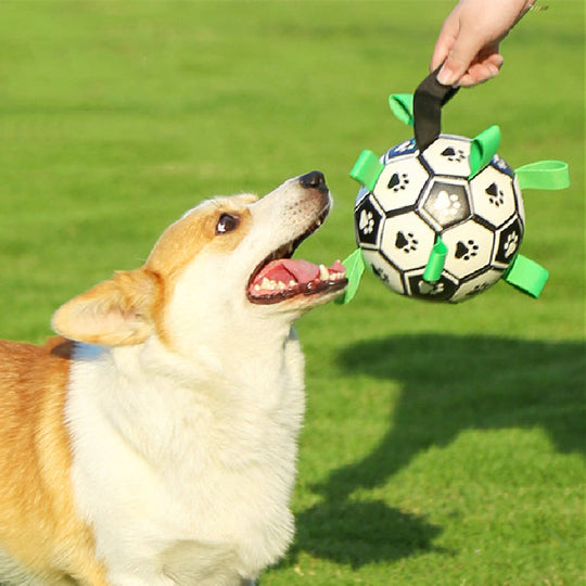 PawKick™ | Dog Football Ball | Dog Toy - Fun for Play