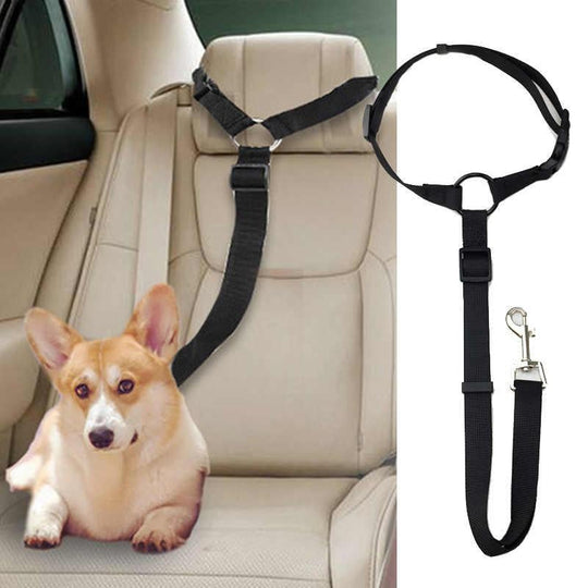 Buy 1 Get 1 Free! FlexStrap™ – Adjustable Dog Collar for Secure Car Travel