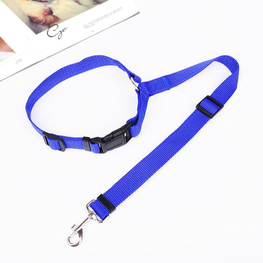 Buy 1 Get 1 Free! FlexStrap™ – Adjustable Dog Collar for Secure Car Travel