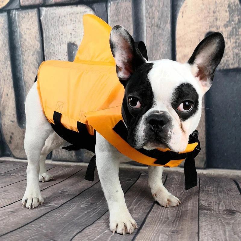 Shark Rescue Pet - Keep Your Furry Friend Safe and Cute!