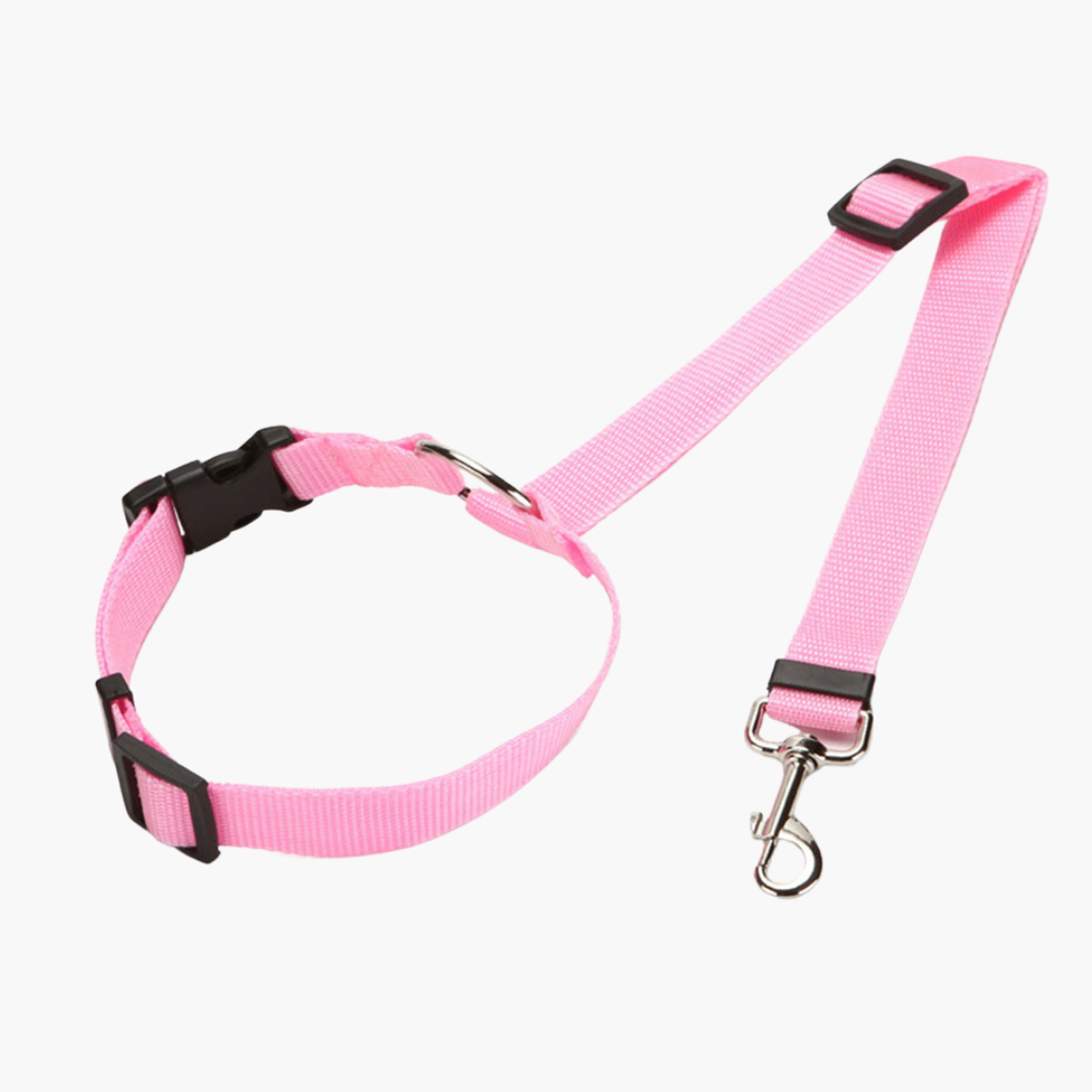 Fionalove - Dog Safety Leash | Dog Leash - Reliable and Secure