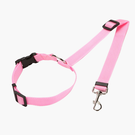 Fionalove - Dog Safety Leash | Dog Leash - Reliable and Secure