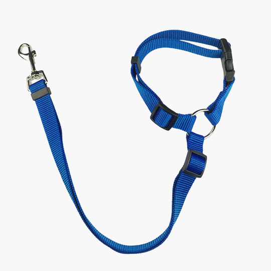 Fionalove - Dog Safety Leash | Dog Leash - Reliable and Secure