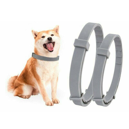 Adjustment for a perfect fit - Anti-insect collar for your pets