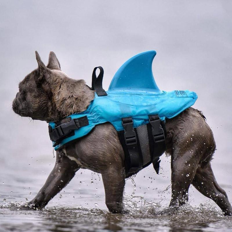 Shark Rescue Pet - Keep Your Furry Friend Safe and Cute!