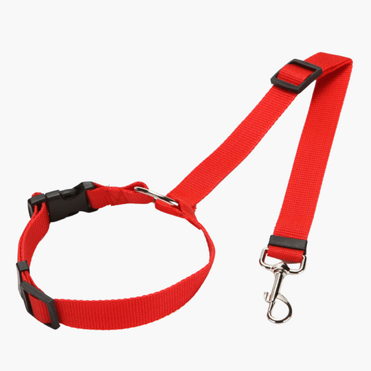 Fionalove - Dog Safety Leash | Dog Leash - Reliable and Secure