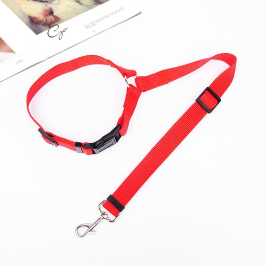 Buy 1 Get 1 Free! FlexStrap™ – Adjustable Dog Collar for Secure Car Travel