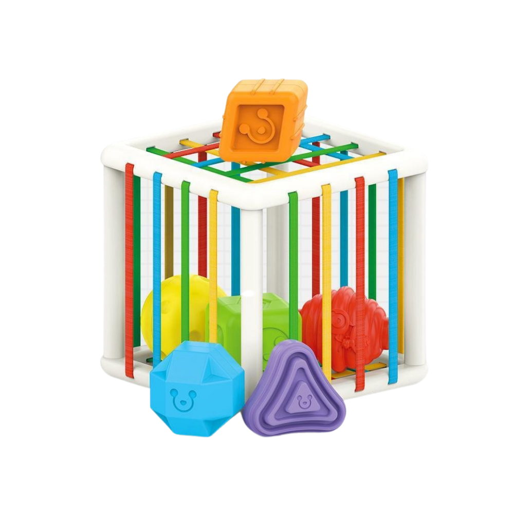 Sorting Cube™ | Sorting Toy - Fun and Educational Sorting