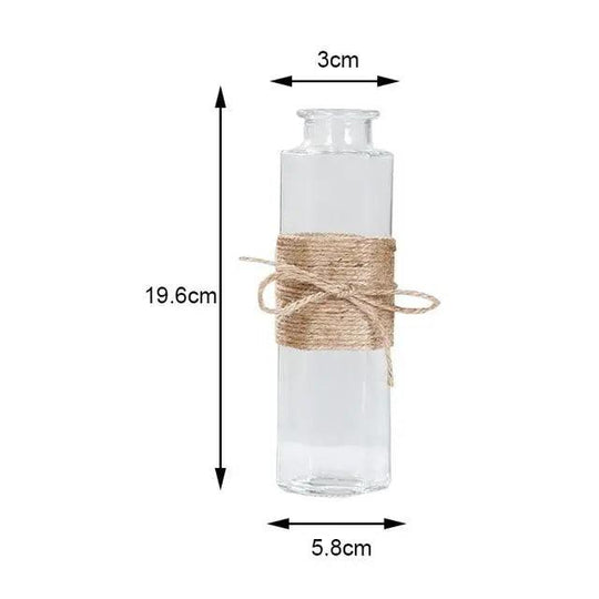 Elegant and minimalist high-quality clear glass vase - ideal for flowers and hydroponic plants, perfect as stylish table decor!