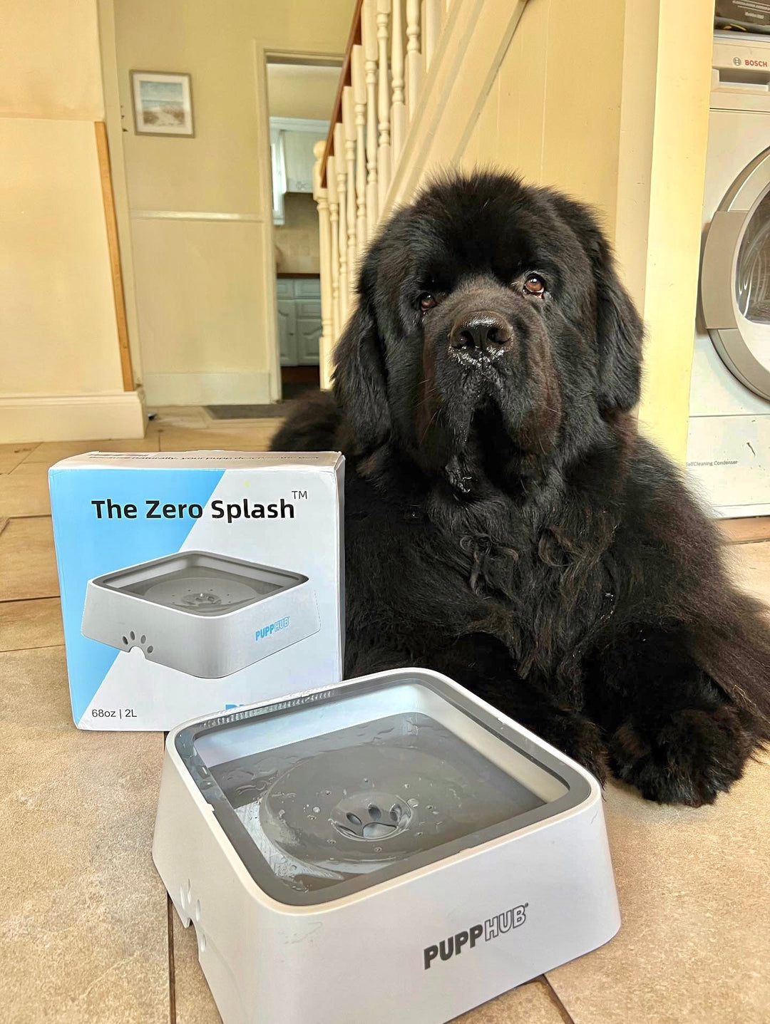 ZeroSplash™ | 2L Water Bowl for Pets | Pet Bowl - Spill-Resistant Design