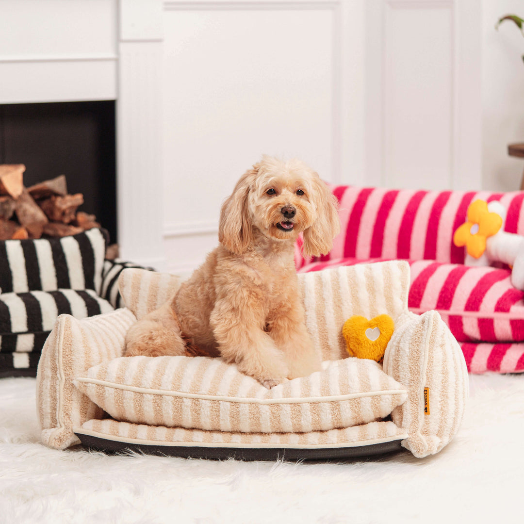 ComfyCouch | Double Layer Dog Sofa - Ultimate Comfort for Pets