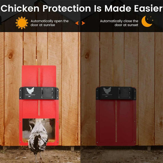 Poultry PRO+ | Automatic Chicken Coop - Convenient Care for Happy, Healthy Chickens